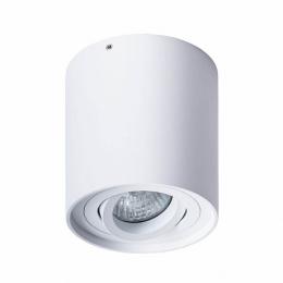 Потолочный светильник Arte Lamp Falcon A5645PL-1WH  купить